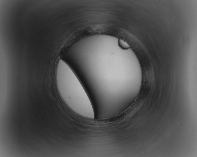 X0000098050751200803280730
