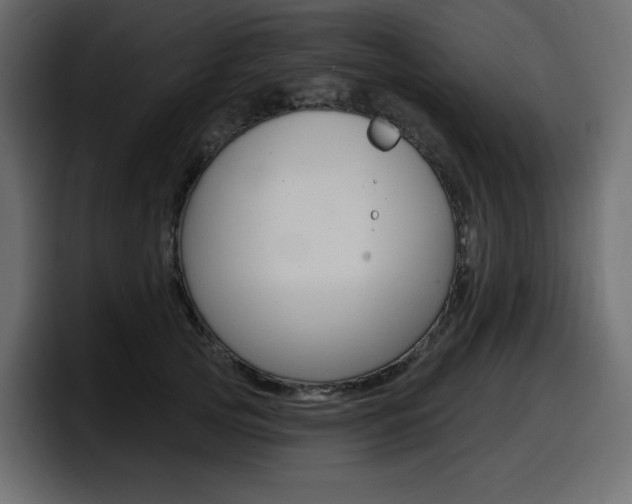 X0000098050753200803280730