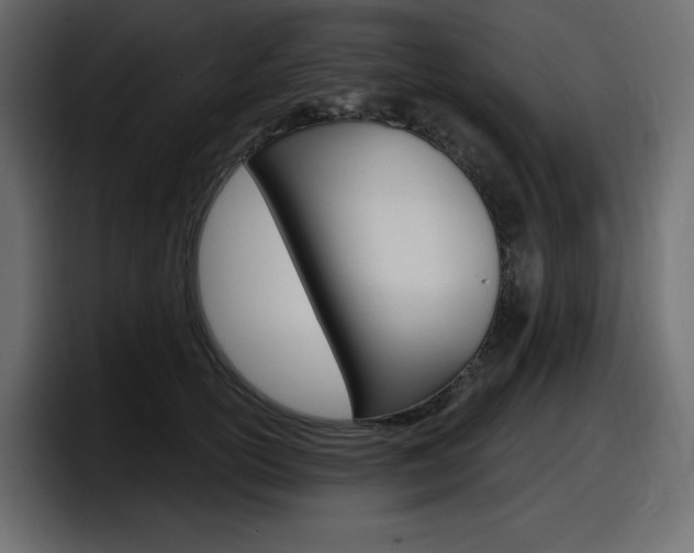 X0000098050754200803280730