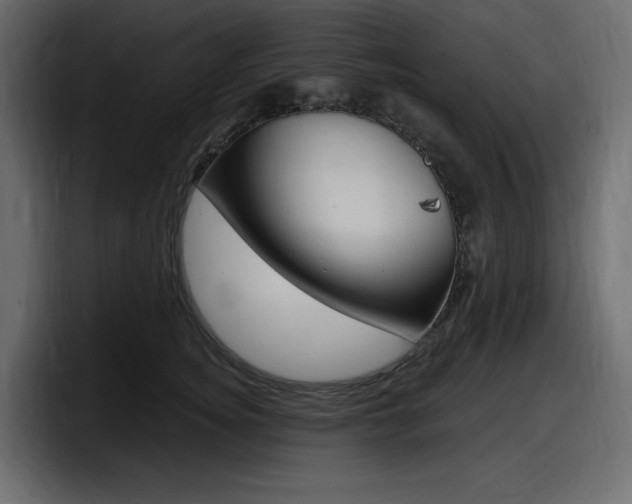 X0000098050756200803280730