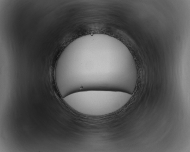 X0000098050757200803280730