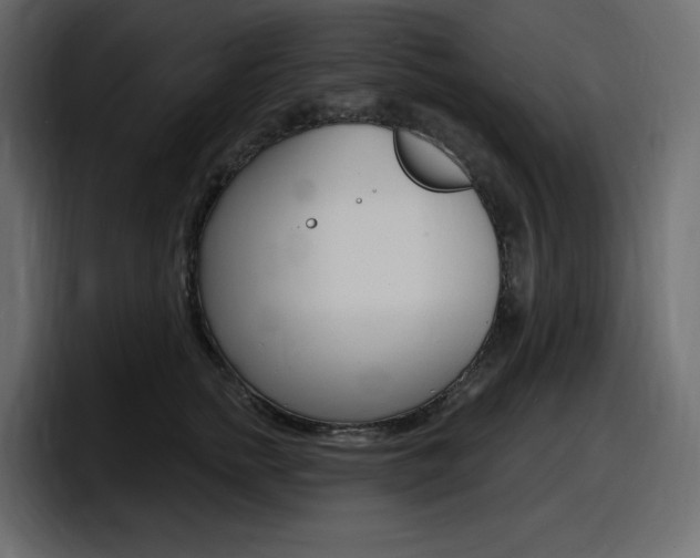 X0000098050758200803280730