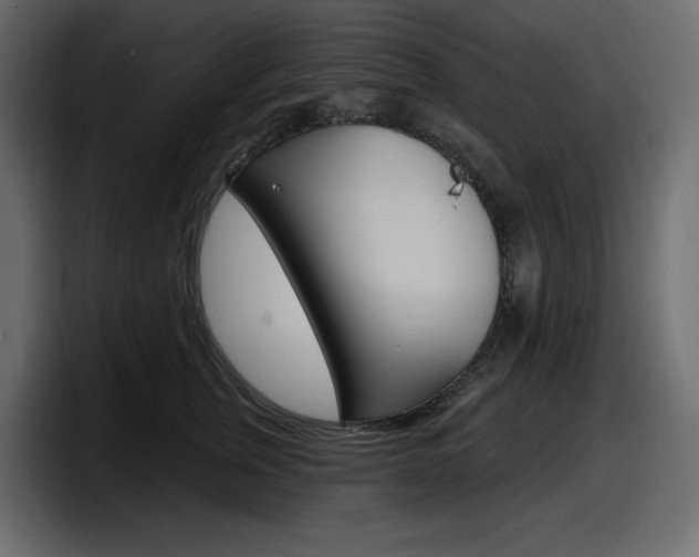 X0000098050759200803280730