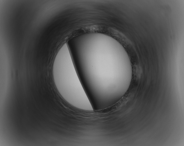 X0000098050760200803280730