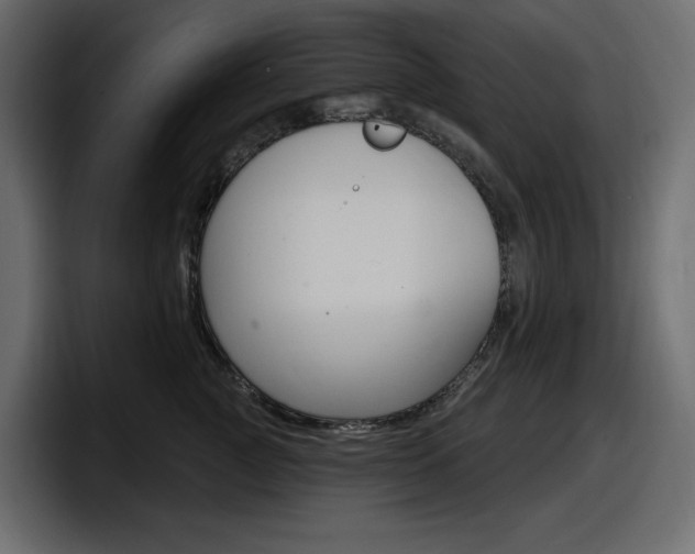 X0000098050761200803280730