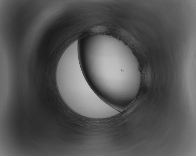 X0000098050762200803280730