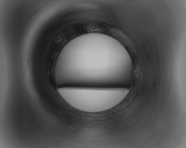 X0000098050763200803280730