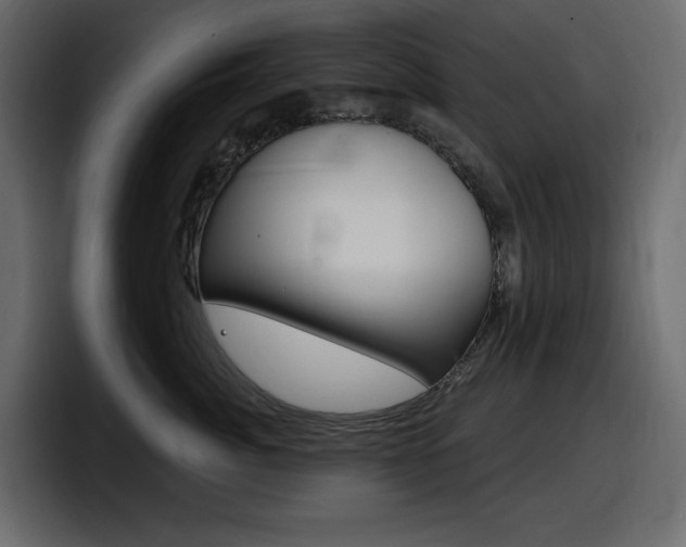 X0000098050764200803280730