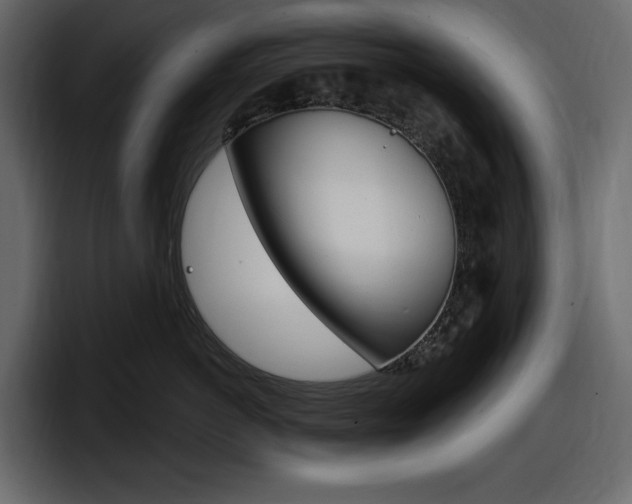 X0000098050766200803280730