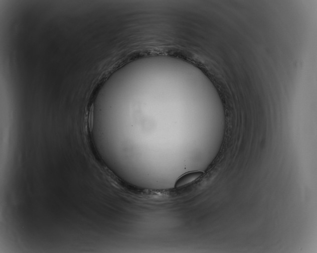 X0000098050768200803280730