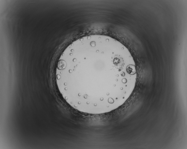 X0000098050769200803280729