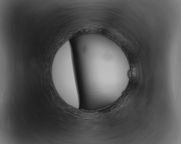 X0000098050771200803280729