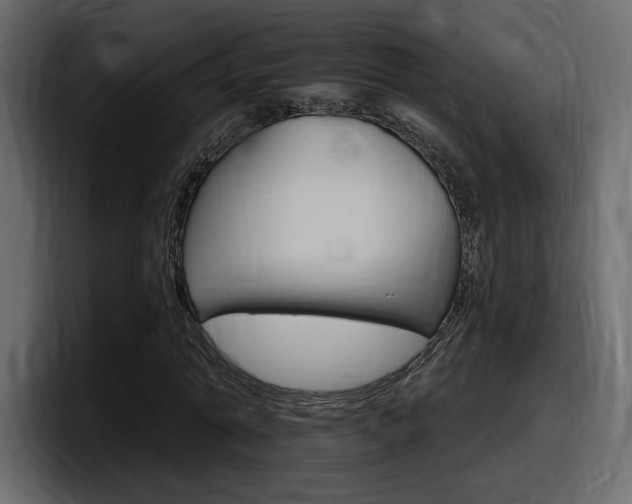 X0000098050774200803280729