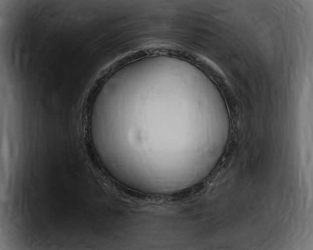 X0000098050775200803280729