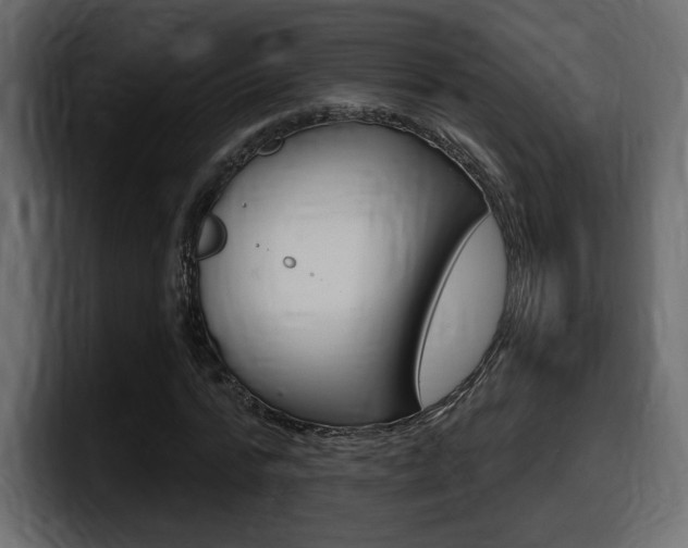 X0000098050776200803280729