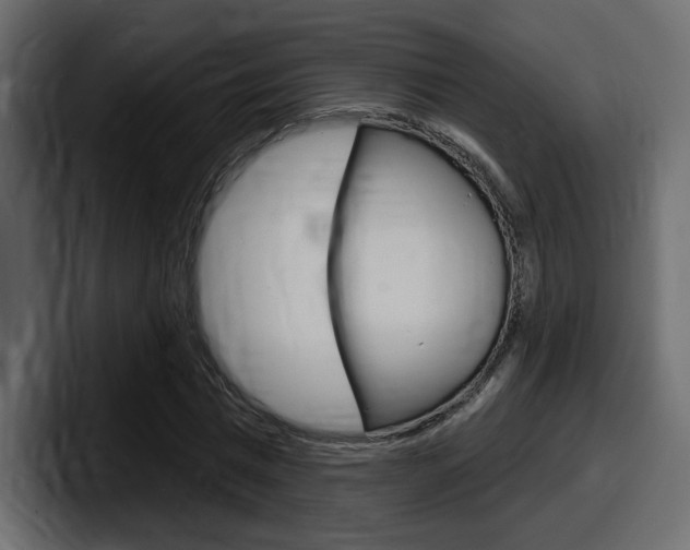 X0000098050777200803280729