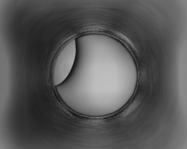 X0000098050778200803280729