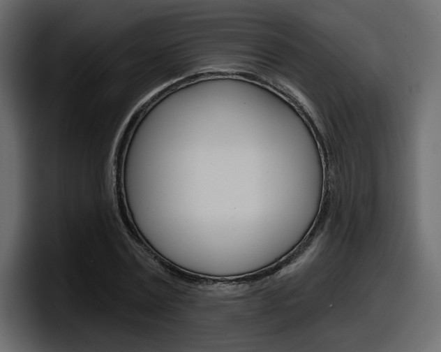 X0000098050779200803280729