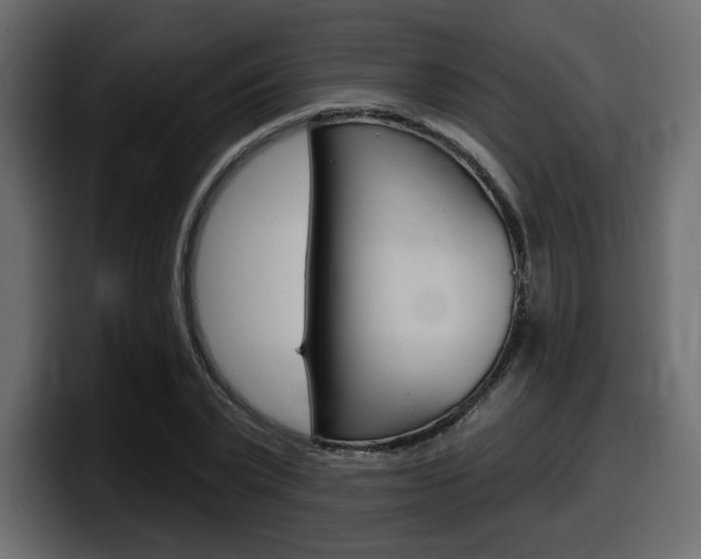 X0000098050783200803280729