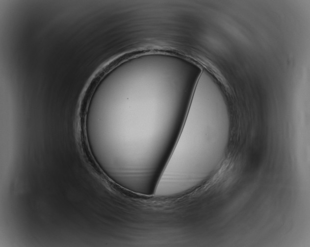 X0000098050784200803280729