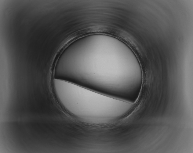 X0000098050786200803280729