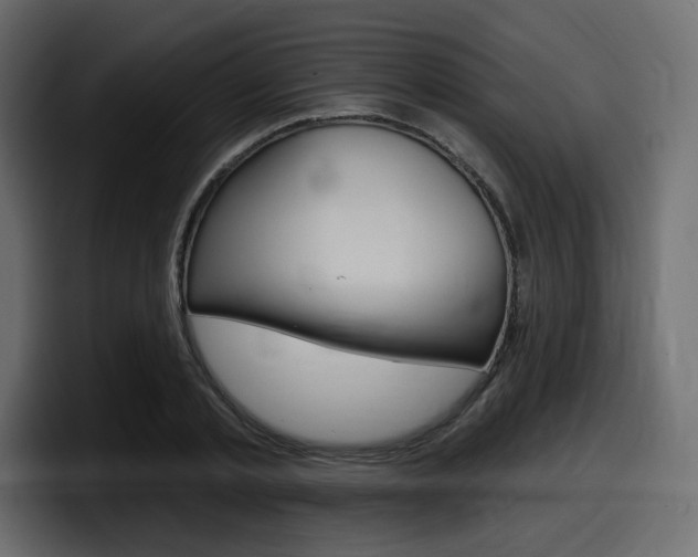 X0000098050789200803280729