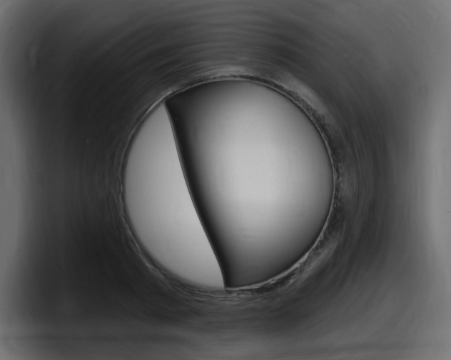 X0000098050793200803280729