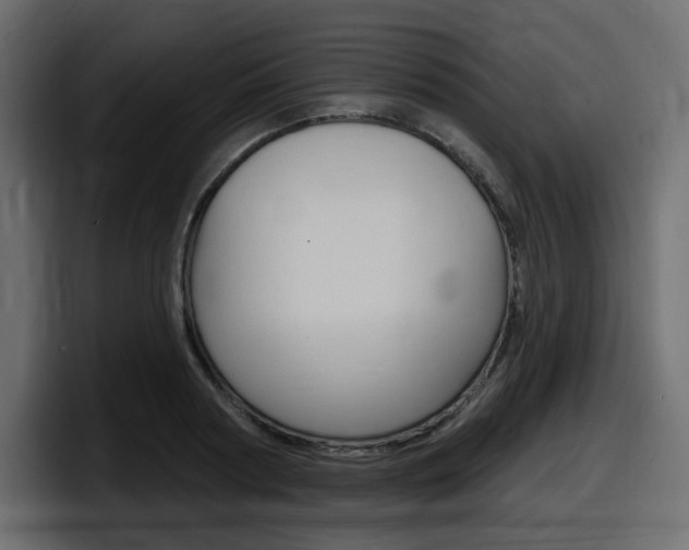 X0000098050794200803280729