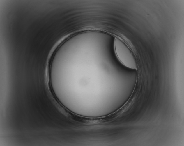 X0000098050796200803280729