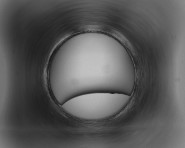 X0000098050798200803280729