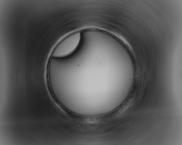 X0000098050799200803280729