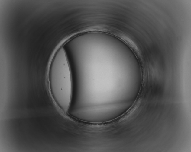 X0000098050800200803280729