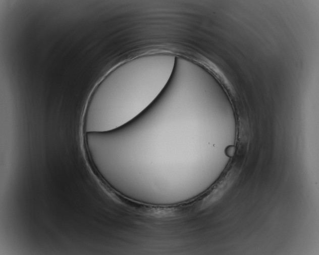 X0000098050802200803280729