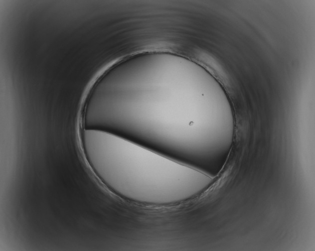 X0000098050804200803280729
