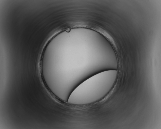 X0000098050806200803280729