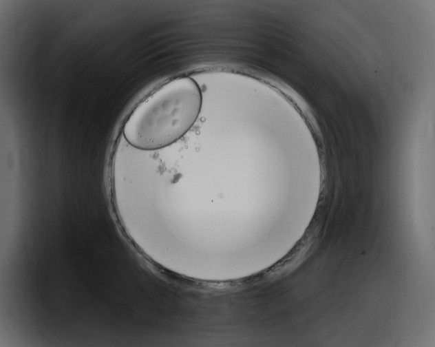 X0000098050807200803280729