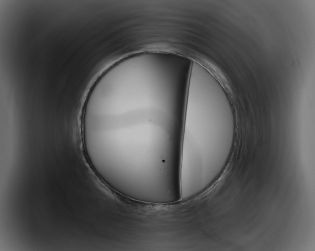 X0000098050808200803280729