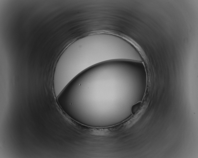 X0000098050809200803280729
