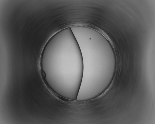 X0000098050810200803280729