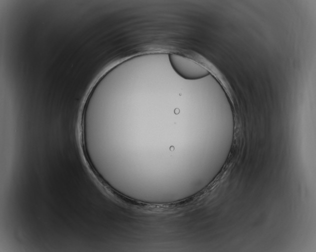 X0000098050811200803280729