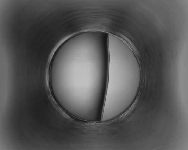 X0000098050812200803280729