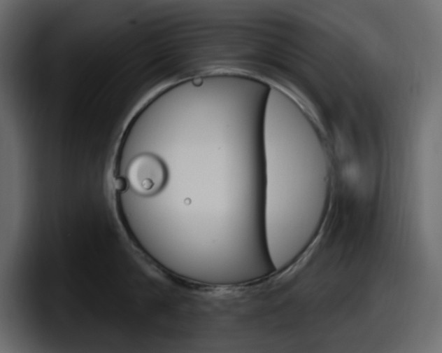 X0000098050814200803280729