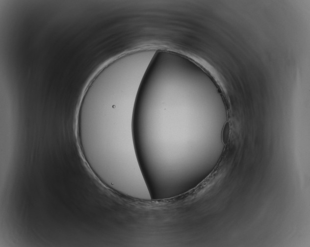 X0000098050815200803280729