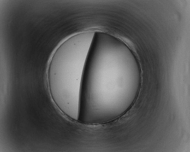 X0000098050816200803280729