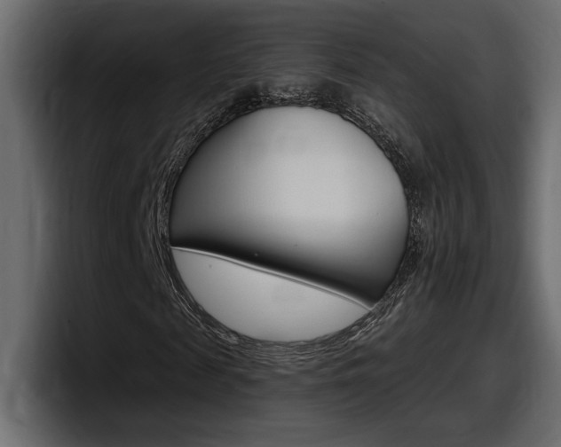 X0000098050817200803280728