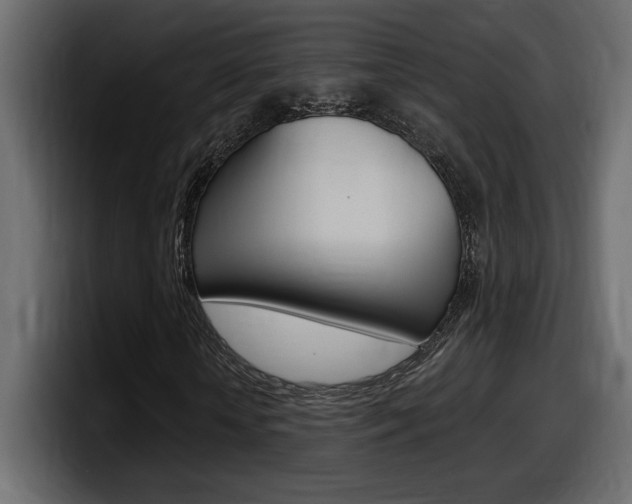 X0000098050818200803280728