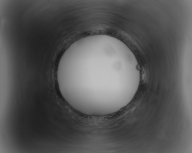 X0000098050819200803280728