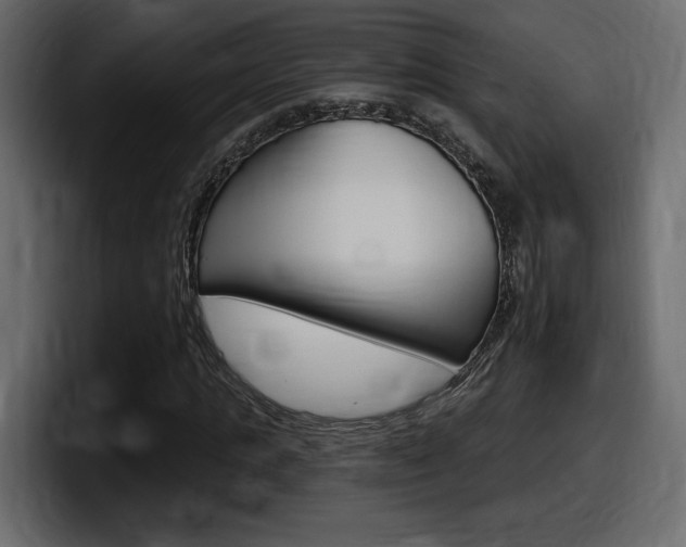 X0000098050821200803280728
