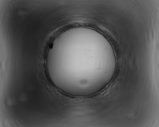 X0000098050822200803280728