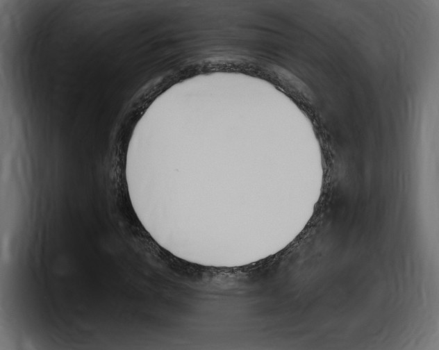 X0000098050824200803280728